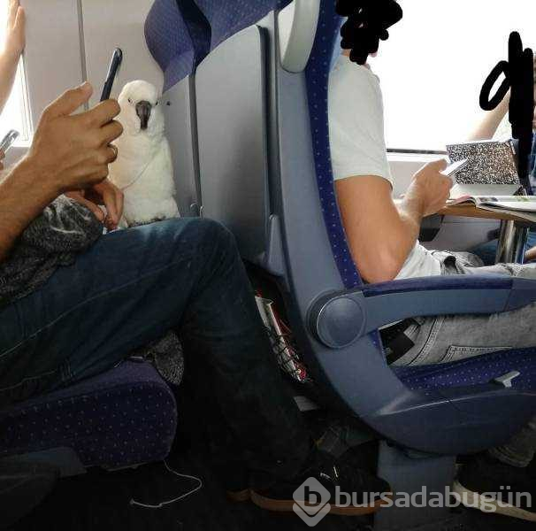 Günün en çok paylaşılan fotoğrafları (05.08.2019)