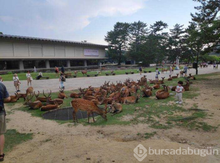 Günün en çok paylaşılan fotoğrafları (05.08.2019)