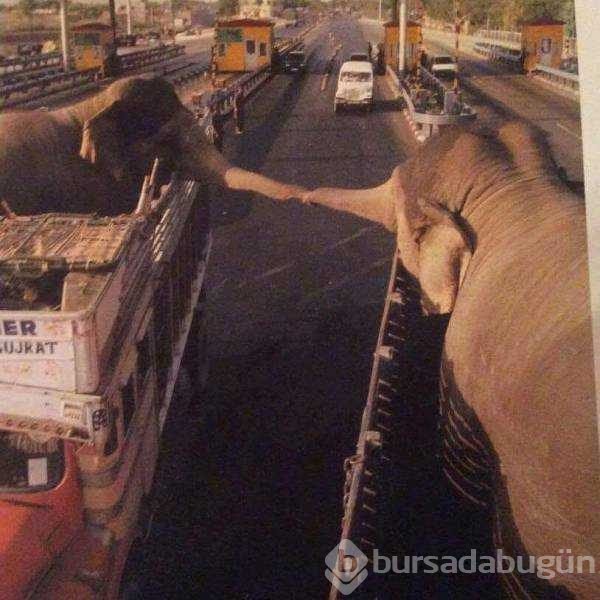 Günün en çok  paylaşılan fotoğrafları (06.08.2019)