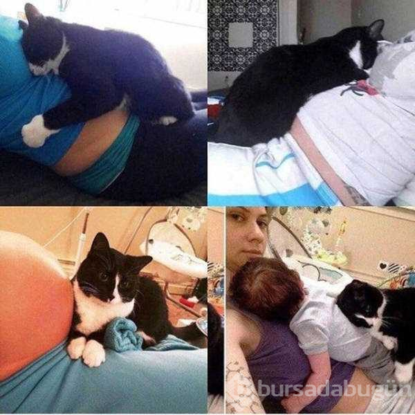 Günün en çok  paylaşılan fotoğrafları (06.08.2019)