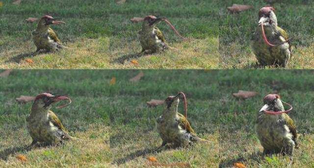 Günün en çok  paylaşılan fotoğrafları (06.08.2019)