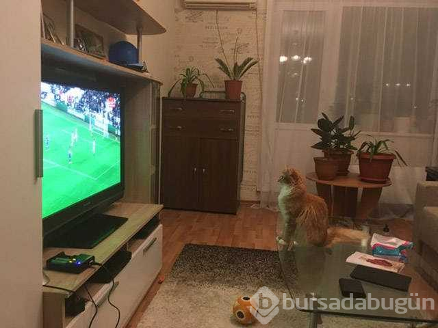 Günün en çok  paylaşılan fotoğrafları (06.08.2019)