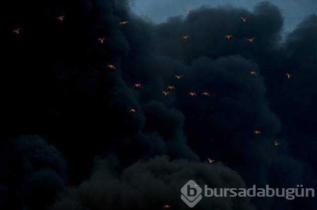 Günün en çok  paylaşılan fotoğrafları (06.08.2019)