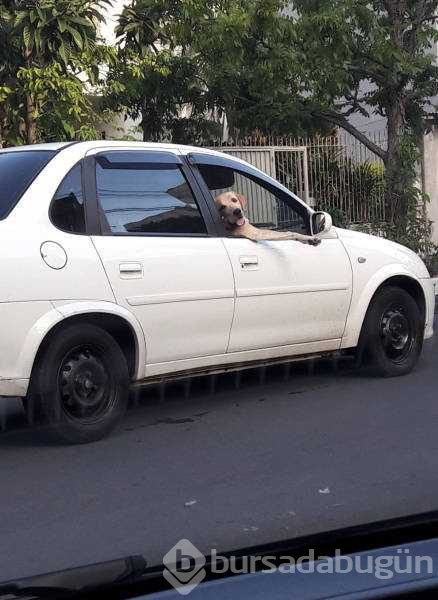 Günün en çok  paylaşılan fotoğrafları (06.08.2019)