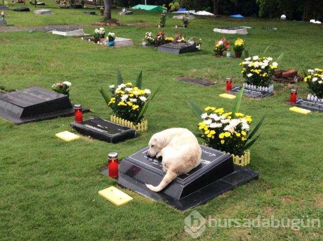 Günün en çok  paylaşılan fotoğrafları (06.08.2019)