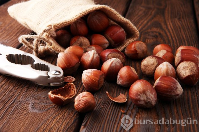 Fındığın yeni bir faydası ortaya çıktı!