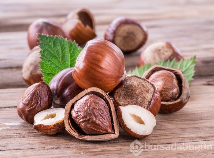 Fındığın yeni bir faydası ortaya çıktı!
