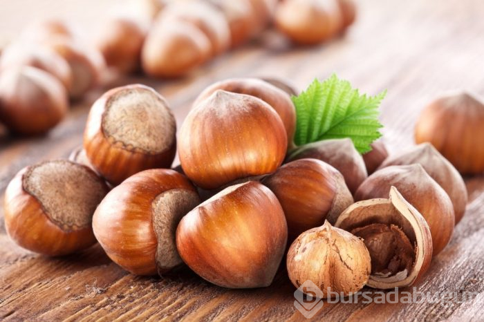 Fındığın yeni bir faydası ortaya çıktı!