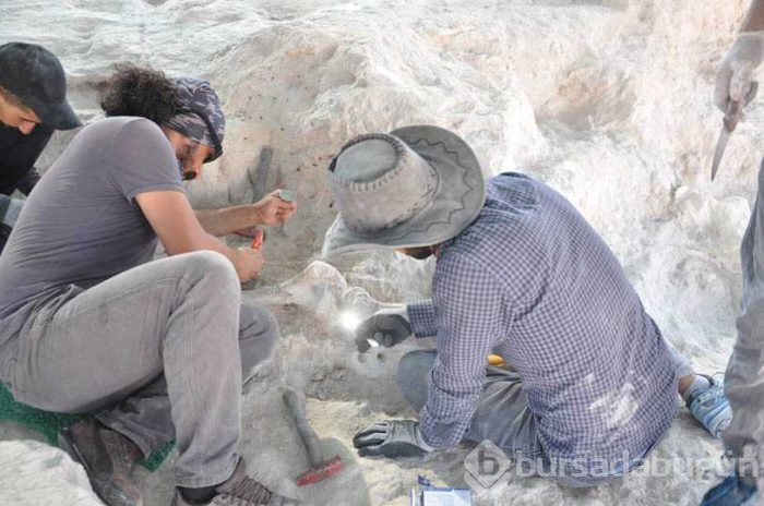 Nevşehir'de milyonlarca yıl öncesine ait birçok fosil ortaya çıktı