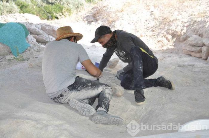Nevşehir'de milyonlarca yıl öncesine ait birçok fosil ortaya çıktı