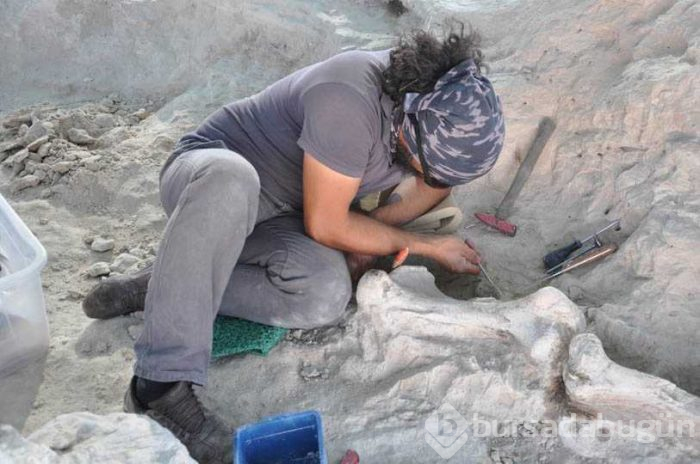 Nevşehir'de milyonlarca yıl öncesine ait birçok fosil ortaya çıktı