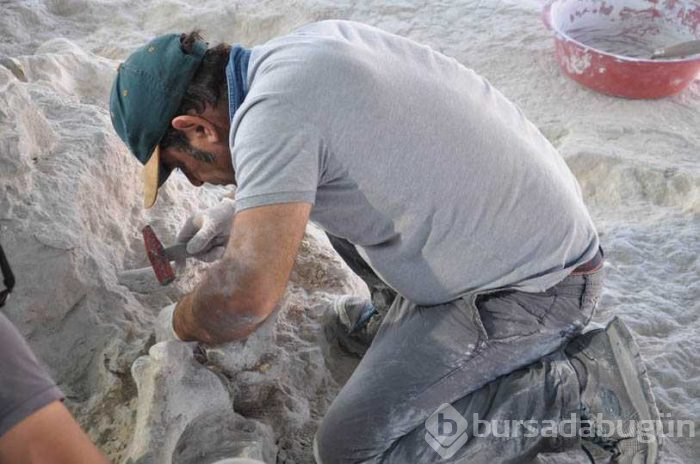 Nevşehir'de milyonlarca yıl öncesine ait birçok fosil ortaya çıktı