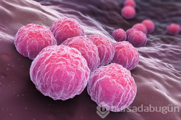 Cinsel yolla bulaşan 4 yeni ve tehlikeli hastalık