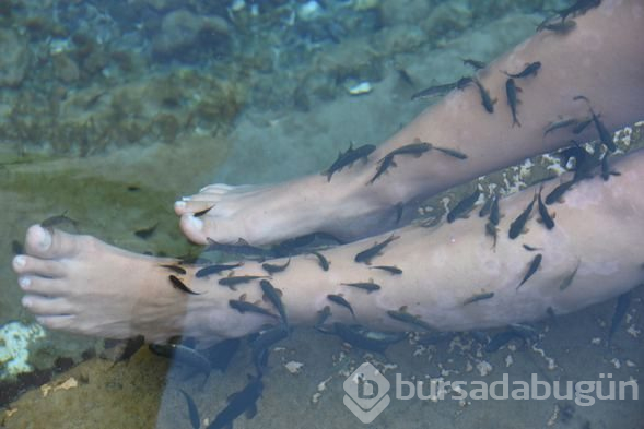 Dünyada tek! Turistler saatlerce içinden çıkmıyor