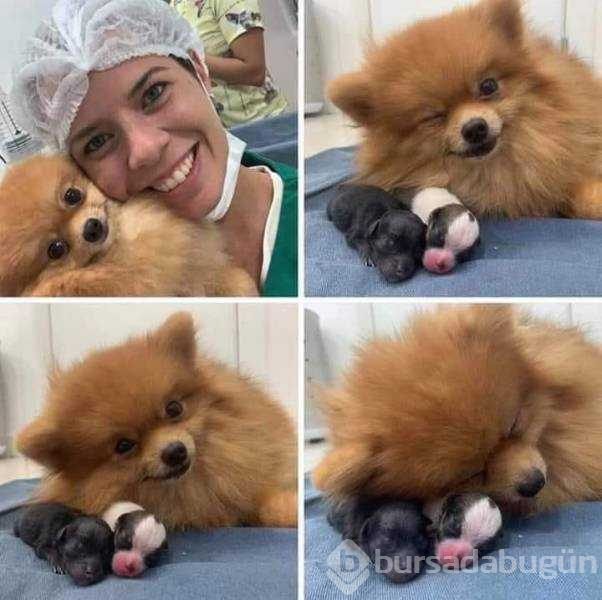 Günün en çok paylaşılan fotoğrafları (07.08.2019)
