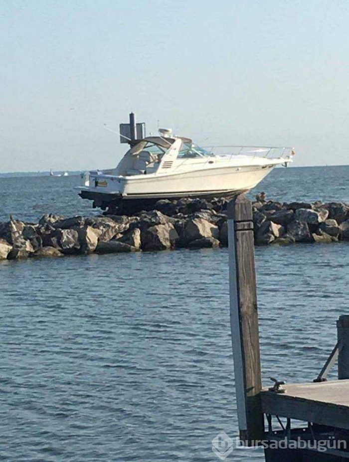 Günün en çok paylaşılan fotoğrafları (07.08.2019)