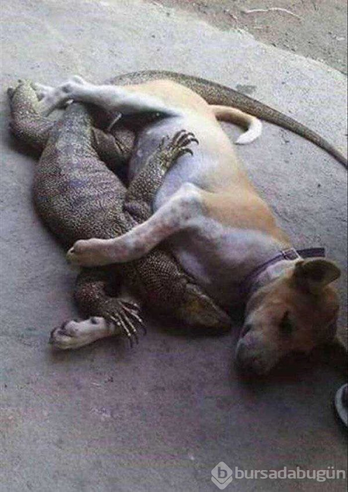 Günün en çok paylaşılan fotoğrafları (07.08.2019)