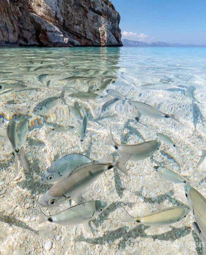 Günün en çok paylaşılan fotoğrafları (07.08.2019)