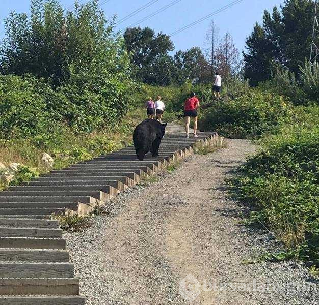 Günün en çok paylaşılan fotoğrafları (07.08.2019)