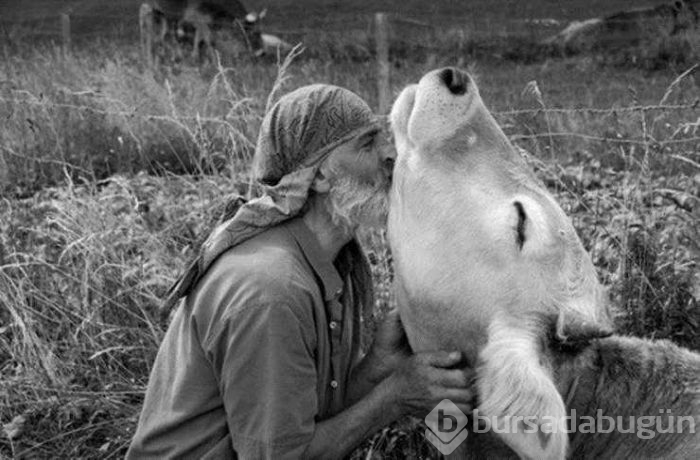 Günün en çok paylaşılan fotoğrafları (07.08.2019)