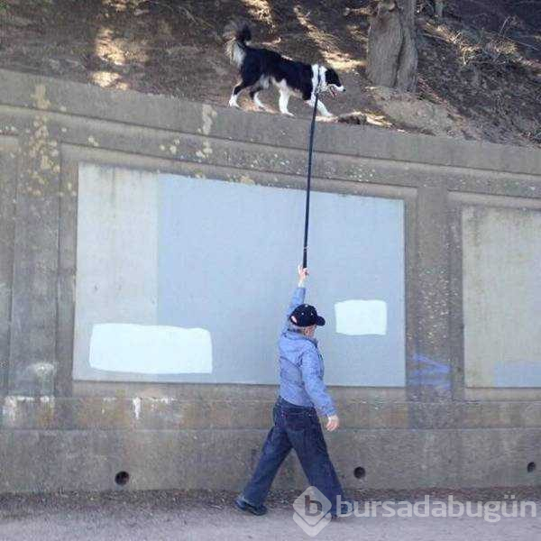 Günün en çok paylaşılan fotoğrafları (07.08.2019)