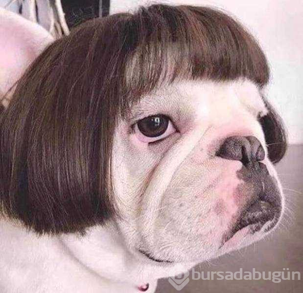 Günün en çok paylaşılan fotoğrafları (07.08.2019)