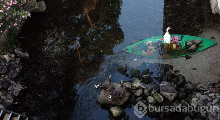 Akyaka'nın doyumsuz güzelliği Azmak Çayı
