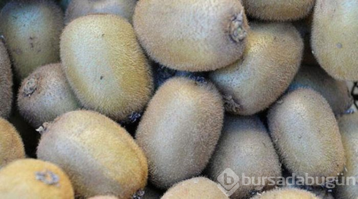 Kuru meyveler sağlık deposu!
