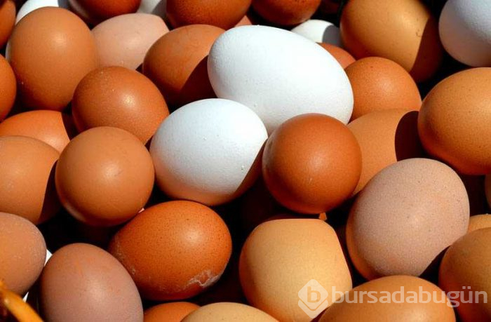 İşte her gün tüketilen yumurtanın zararları...
