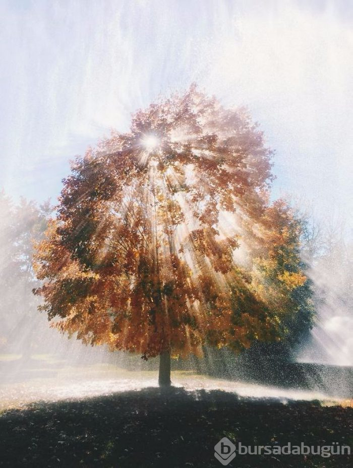 İlk bakışta yanıltan fotoğraflar (Photoshop yok)
