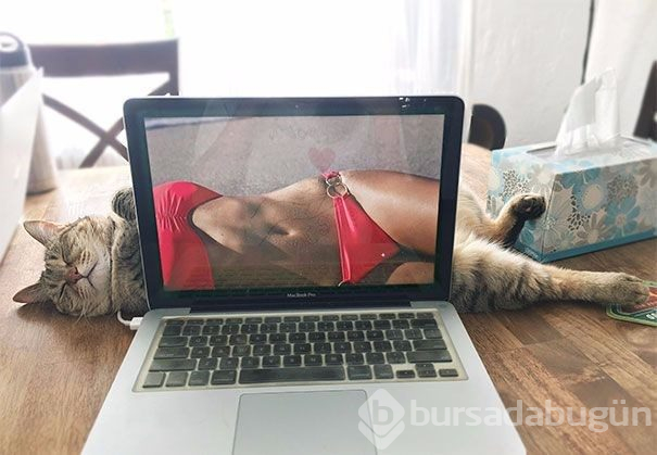 İlk bakışta yanıltan fotoğraflar (Photoshop yok)
