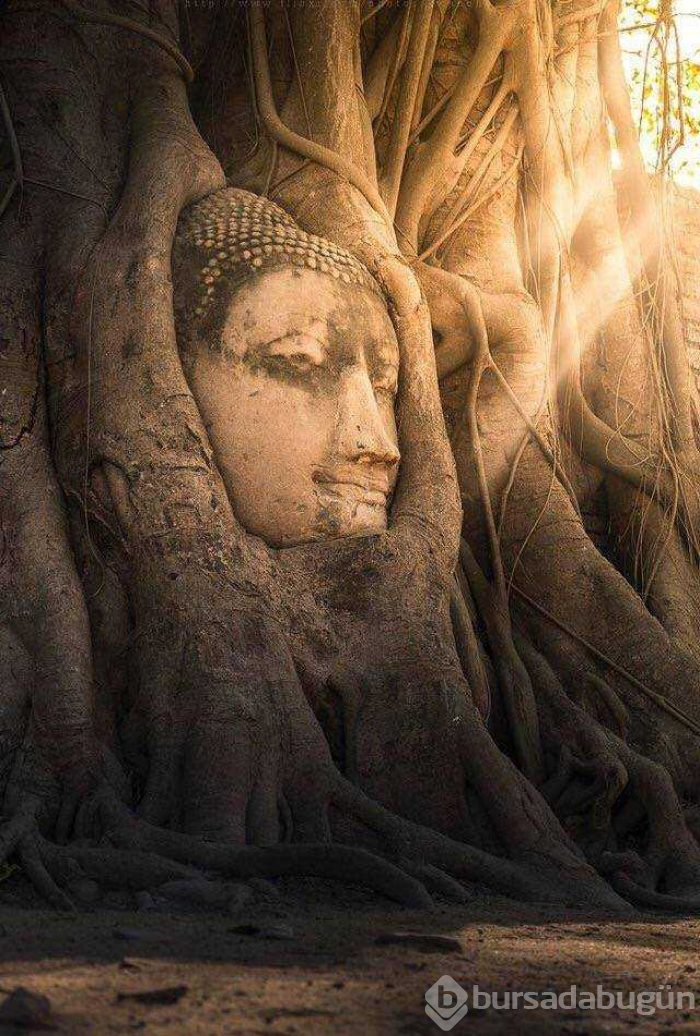 Günün en çok paylaşılan fotoğrafları (08.08.2019)