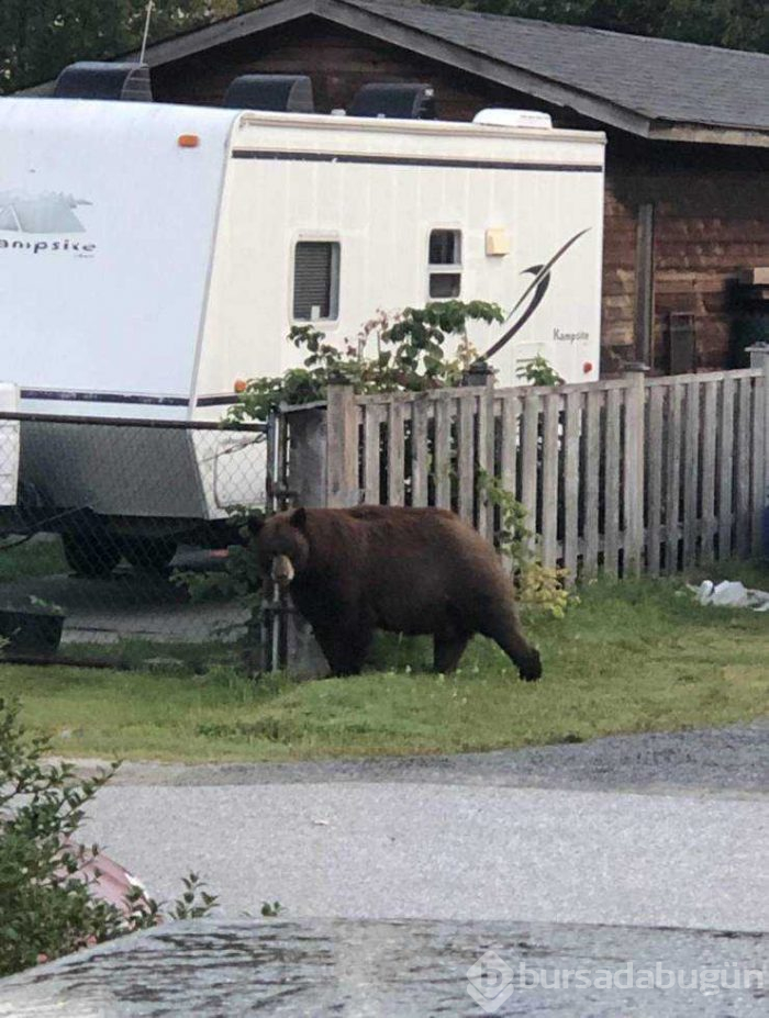 Günün en çok paylaşılan fotoğrafları (08.08.2019)