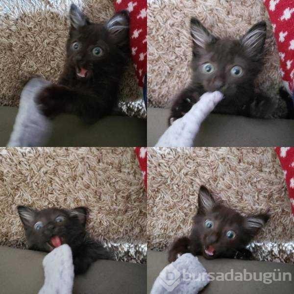 Günün en çok paylaşılan fotoğrafları (08.08.2019)