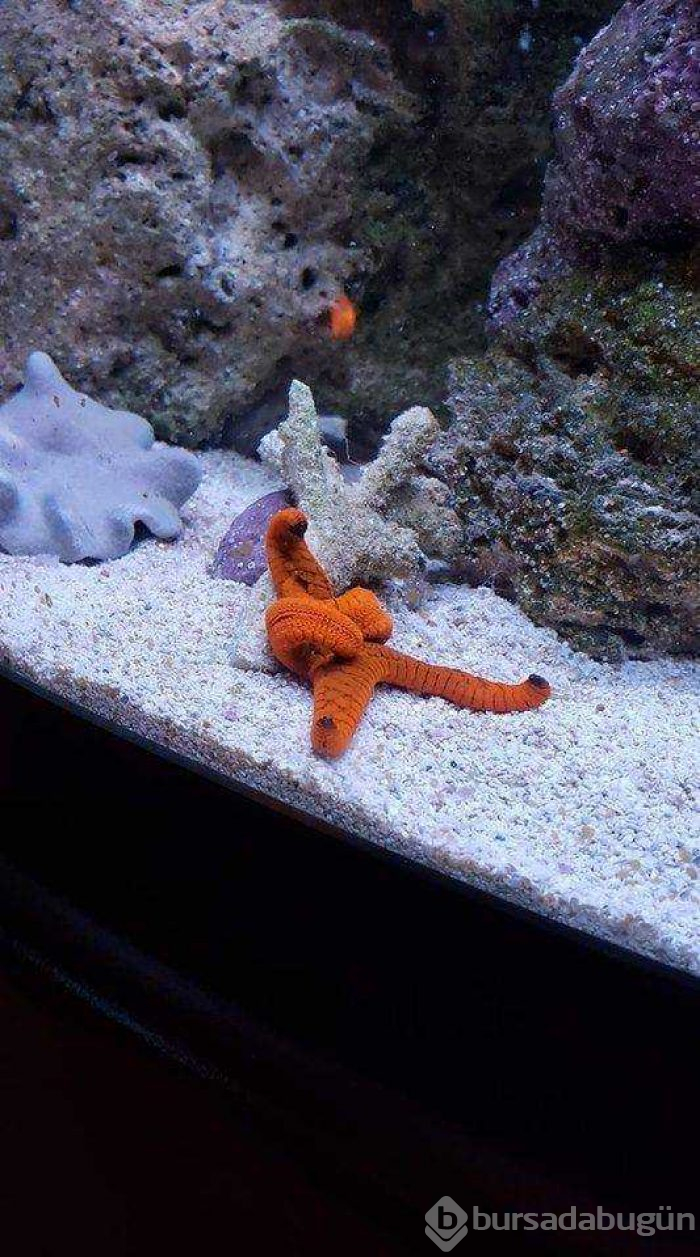 Günün en çok paylaşılan fotoğrafları (08.08.2019)
