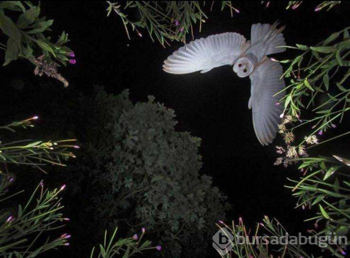 Günün en çok paylaşılan fotoğrafları (08.08.2019)