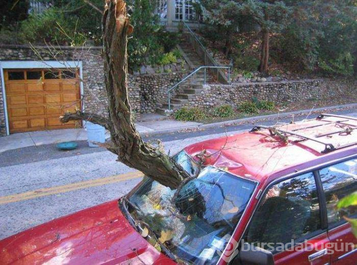 Günün en çok paylaşılan fotoğrafları (08.08.2019)