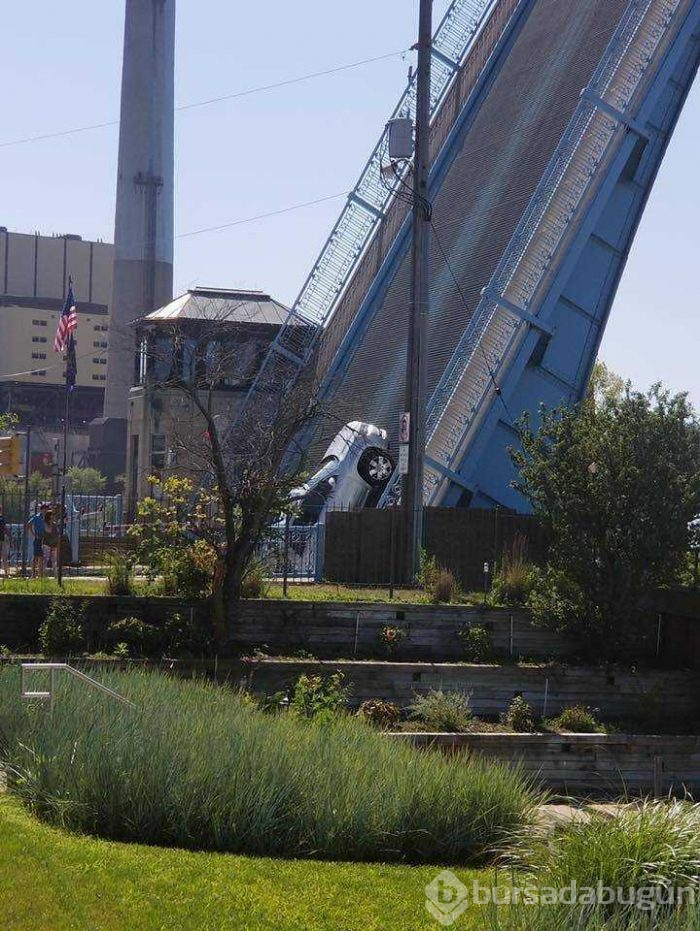 Günün en çok paylaşılan fotoğrafları (08.08.2019)