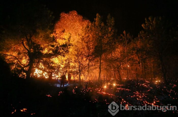 Antalya Manavgat'ta orman yangını