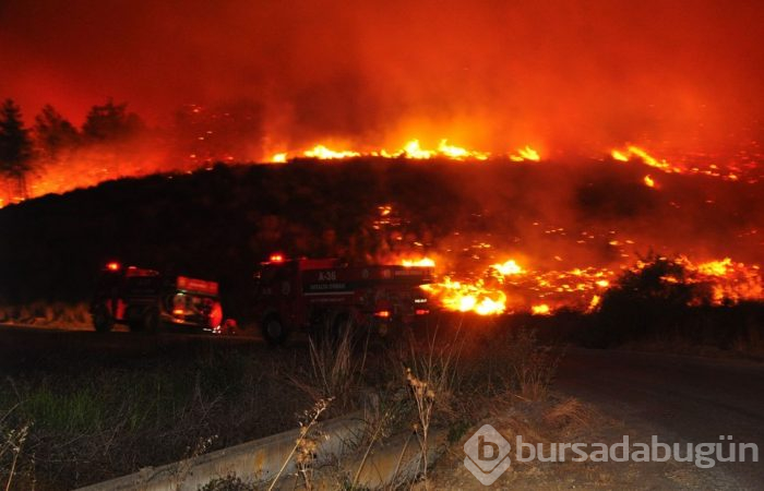 Antalya Manavgat'ta orman yangını