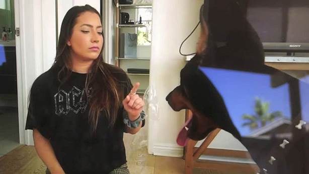 Köpeğine uyguladığı şiddet videosunda görülen YouTuber'a haklı tepki veriliyor...