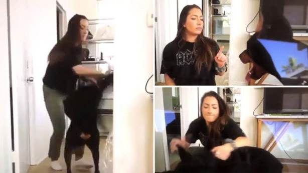 Köpeğine uyguladığı şiddet videosunda görülen YouTuber'a haklı tepki veriliyor...