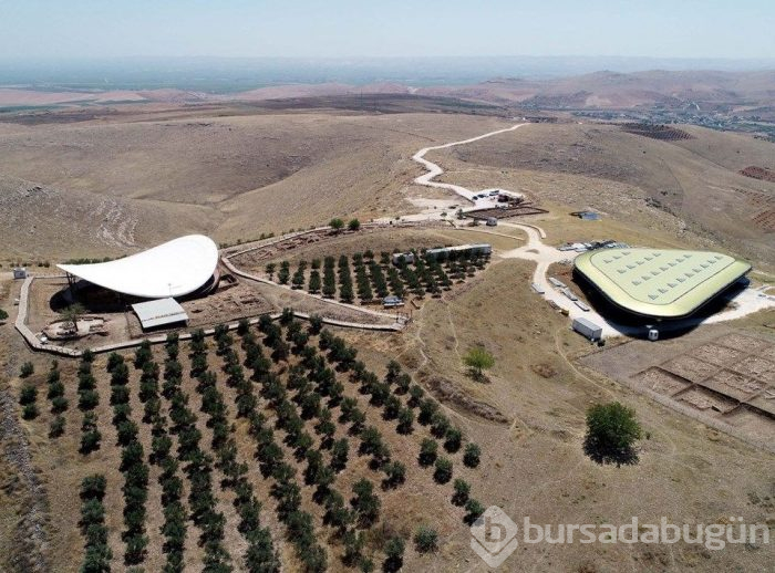 İngiliz milletvekilleri Göbeklitepe'ye hayran kaldı