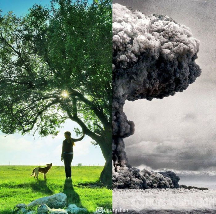Tek fotoğrafta iki farklı yaşam...
