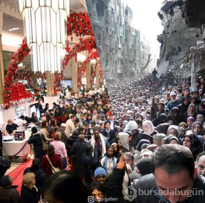 Tek fotoğrafta iki farklı yaşam...
