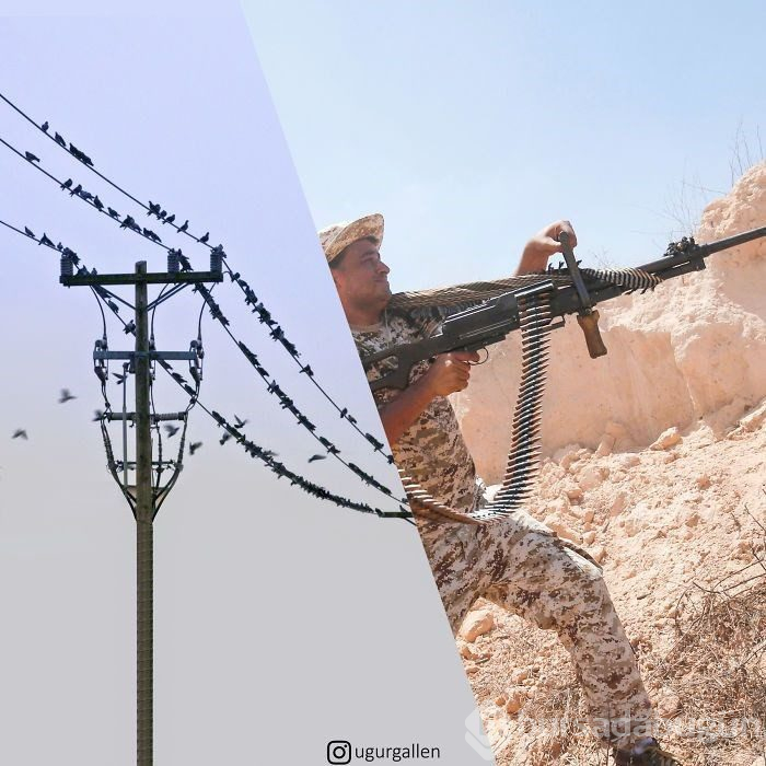 Tek fotoğrafta iki farklı yaşam...
