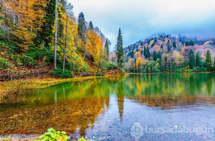 Doğu Karadeniz'in saklı cennetleri görenleri büyülüyor...
