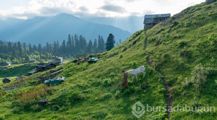 Doğu Karadeniz'in saklı cennetleri görenleri büyülüyor...
