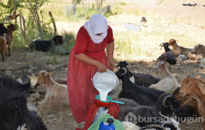 'Huzuru burada bulduk!'
