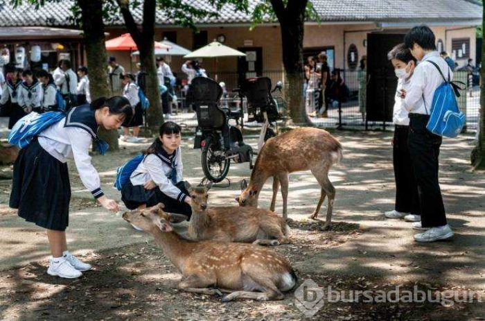 Günün en çok paylaşılan fotoğrafları (09.08.2019)